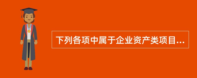 下列各项中属于企业资产类项目的是（）。