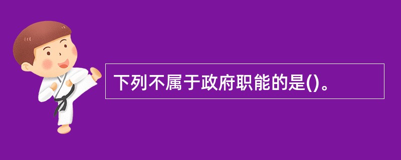 下列不属于政府职能的是()。