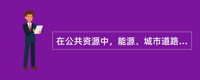 在公共资源中，能源、城市道路、路灯、桥梁、交通标志等属于()。