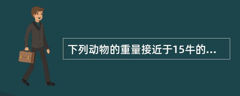 下列动物的重量接近于15牛的是()。