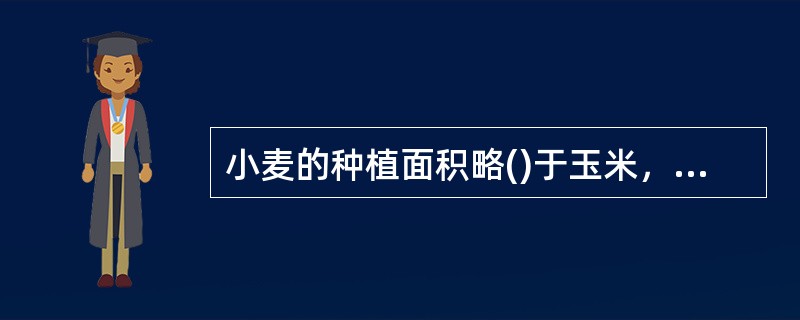 小麦的种植面积略()于玉米，而其总产量较玉米稍()。