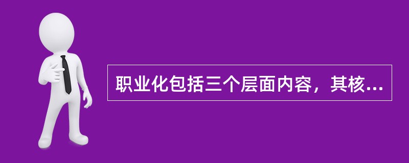 职业化包括三个层面内容，其核心层是()。