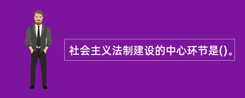 社会主义法制建设的中心环节是()。