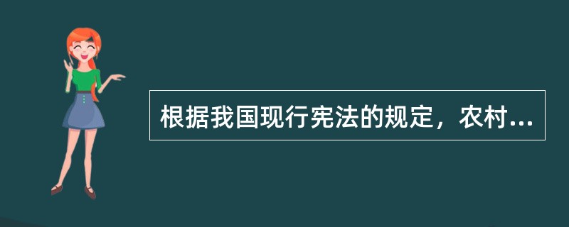 根据我国现行宪法的规定，农村集体经济组织实行的经营体制是()。