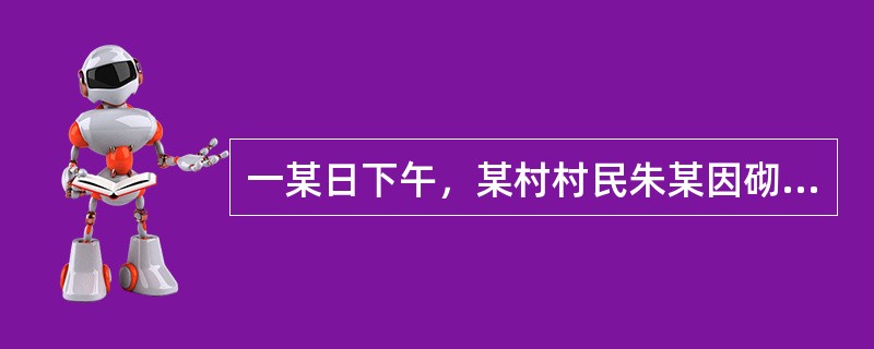 一某日下午，某村村民朱某因砌围墙与邻居谢某发生争执，在争吵中双方用石头、砖块对砸。朱某被砸伤头部后即回家拿一菜刀返回现场，将谢某砍打成轻微伤。公安派出所根据双方斗殴的事实，直接依照《治安管理处罚法》分