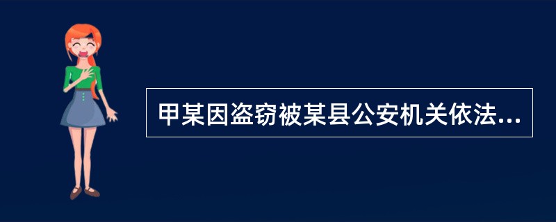 甲某因盗窃被某县公安机关依法逮捕，在侦查期间，甲某不讲真实姓名、住址，身份不明。对于本案，公安机关做法正确的是()