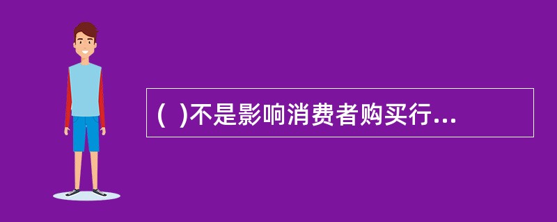 (  )不是影响消费者购买行为的主要因素。