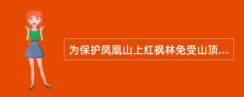 为保护凤凰山上红枫林免受山顶季节性狂风的肆虐而不被刮倒，凤凰山国家风景管理局在山顶上设置了巨大的防风屏障。这些屏障的建立虽然挡住了狂风的侵袭，但就风景的整体性而言，有两个副作用，一是近乎将红枫林圈围起