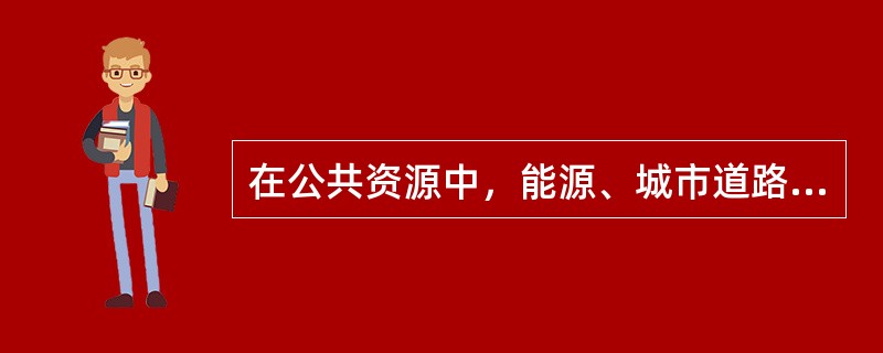在公共资源中，能源、城市道路、路灯、桥梁、交通标志等属于（）。