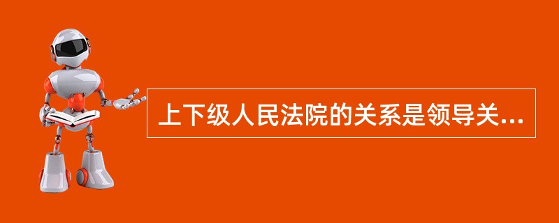 上下级人民法院的关系是领导关系。（）