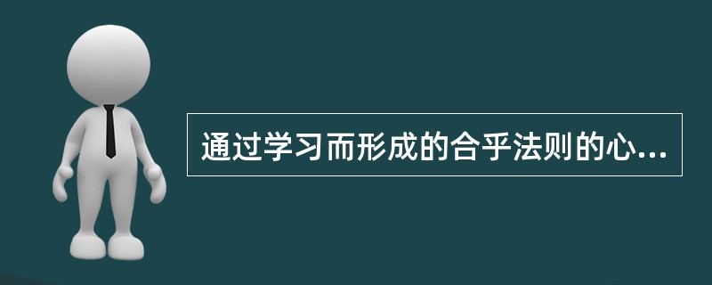 通过学习而形成的合乎法则的心智活动方式即是（）。