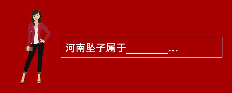 河南坠子属于__________类__________音乐。