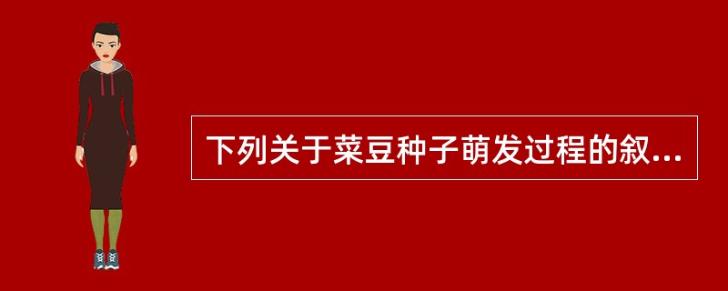 下列关于菜豆种子萌发过程的叙述，不正确的是（）。