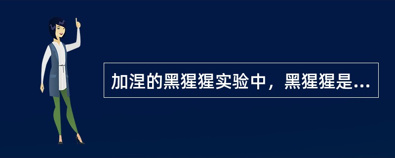 加涅的黑猩猩实验中，黑猩猩是以（）的方式来进行学习的。