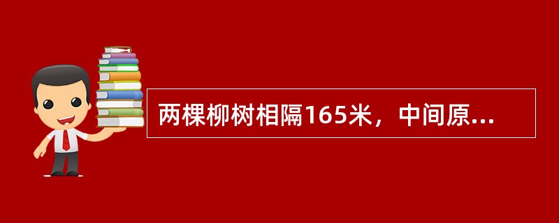 两棵柳树相隔165米，中间原本没有任何树，现在这两棵树中间等距种植32棵桃树，第1棵桃树到第20棵桃树间的距离是（　　）。