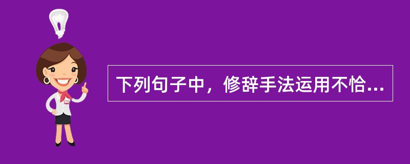 下列句子中，修辞手法运用不恰当的是（　　）。