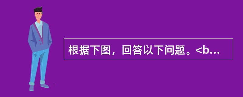 根据下图，回答以下问题。<br /><p><img src="https://img.zhaotiba.com/fujian/20220831/lm03fbbr