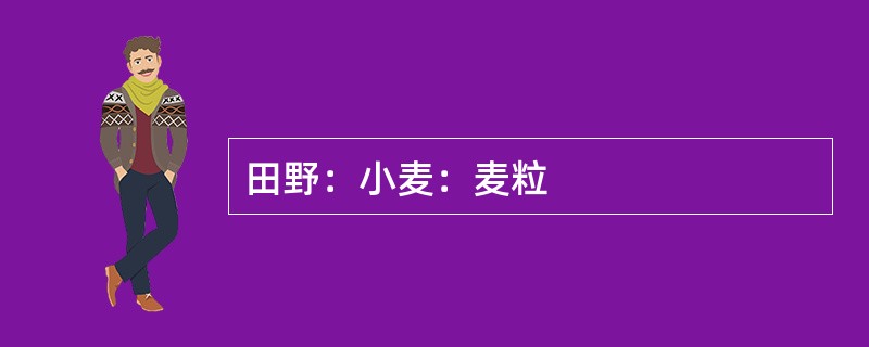 田野：小麦：麦粒