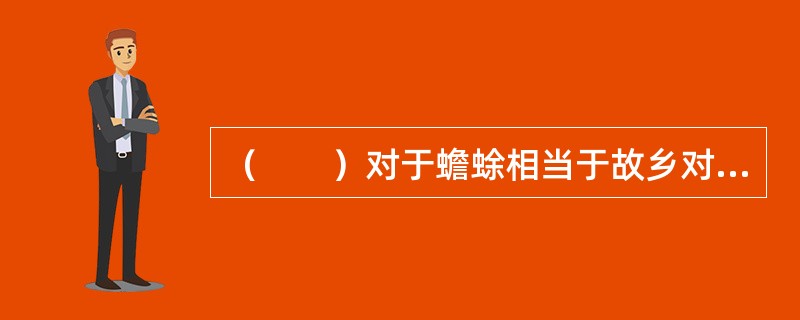 （　　）对于蟾蜍相当于故乡对于（　　）