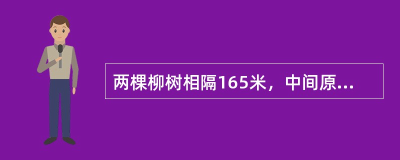 两棵柳树相隔165米，中间原本没有任何树，现在这两棵树中间等距种植32棵桃树，第1棵桃树到第20棵桃树间的距离是（　　）。