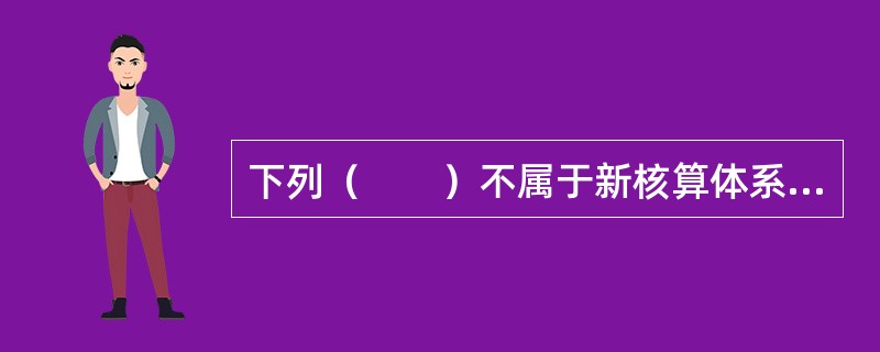 下列（　　）不属于新核算体系的五套基本核算表。