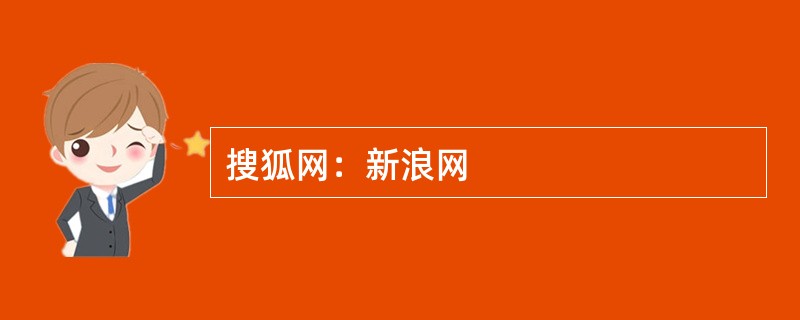 搜狐网：新浪网