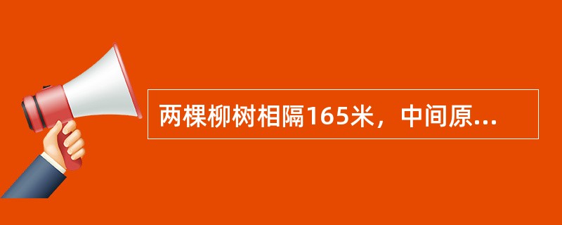 两棵柳树相隔165米，中间原本没有任何树，现在这两棵树中间等距种植32棵桃树，第1棵桃树到第20棵桃树间的距离是（　　）。