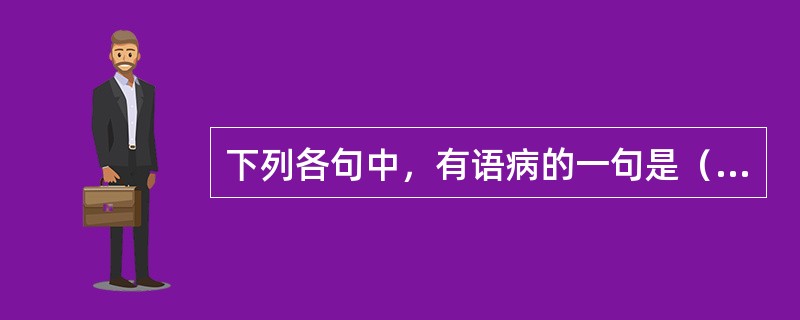 下列各句中，有语病的一句是（　　）。