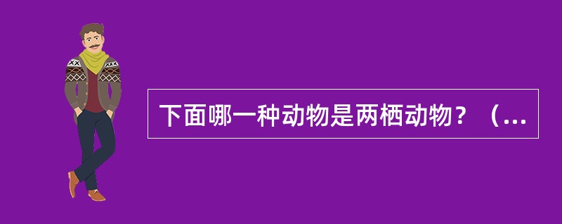 下面哪一种动物是两栖动物？（　　）