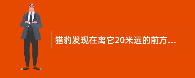 猎豹发现在离它20米远的前方有一只奔跑着的兔子，马上紧追上去，猎豹的步子大，它跑5步的路程，兔子要跑9步，但是兔子的动作快，猎豹跑2步的时间，兔子却能跑3步，则猎豹跑（　　）米才能追上兔子。