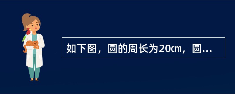 如下图，圆的周长为20㎝，圆的面积和长方形的面积正好相等，求图中阴影的周长？（　　）<br /><img border="0" style="width