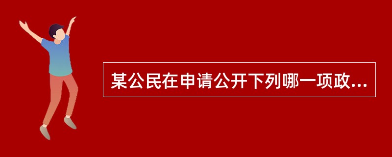 某公民在申请公开下列哪一项政府信息时，应当出示有效身份证件或证明文件？（　　）