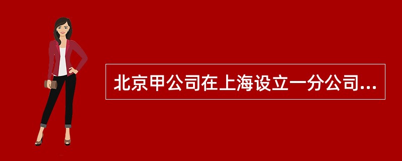 北京甲公司在上海设立一分公司，领取了营业执照，该分公司独立核算，有自己的财产。后该分公司因与乙公司签订一买卖合同，欠乙公司100万元，到期未还，对于责任的承担，下列说法正确的是（　　）。