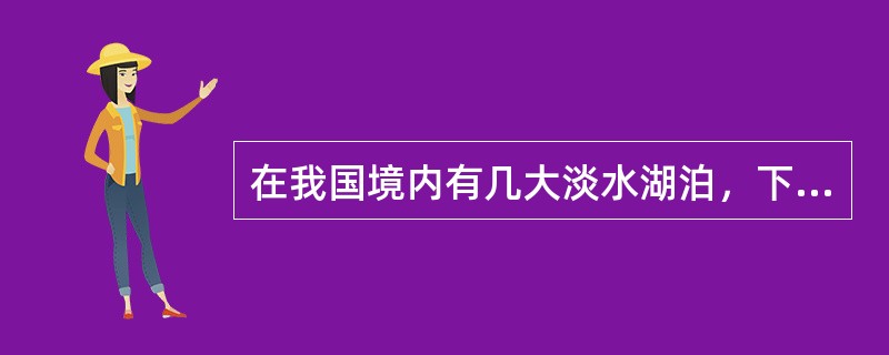 在我国境内有几大淡水湖泊，下列将这几大湖泊面积从小到大排列正确的是（　　）。