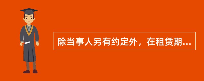 除当事人另有约定外，在租赁期间因占有、使用租赁物获得的收益，归（　　）所有。