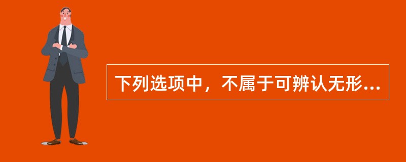 下列选项中，不属于可辨认无形资产的是（　　）。