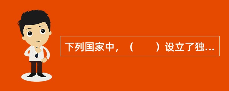 下列国家中，（　　）设立了独立的保险监督管理机构。