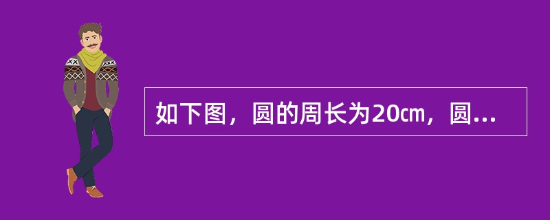 如下图，圆的周长为20㎝，圆的面积和长方形的面积正好相等，求图中阴影的周长？（　　）<br /><img border="0" style="width