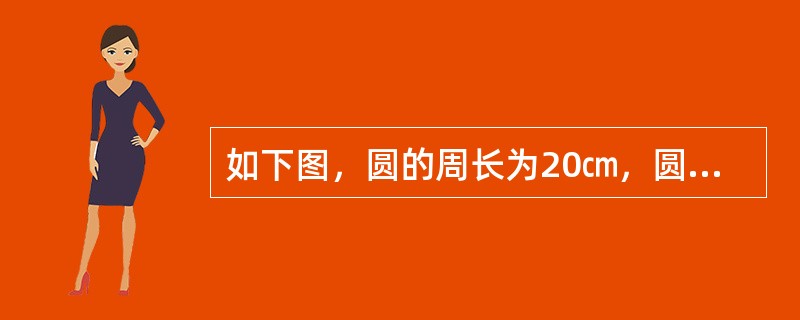 如下图，圆的周长为20㎝，圆的面积和长方形的面积正好相等，求图中阴影的周长？（　　）<br /><img border="0" style="width