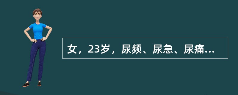 女，23岁，尿频、尿急、尿痛已2天，查尿沉渣有大量白细胞，应考虑()。