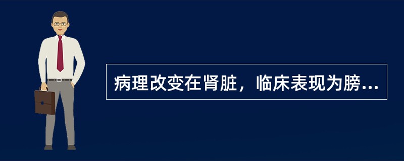 病理改变在肾脏，临床表现为膀胱刺激症状，此种情况可能是