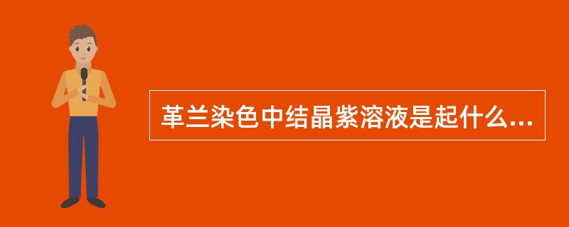 革兰染色中结晶紫溶液是起什么作用的溶液（）