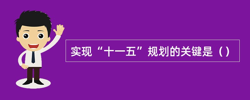 实现“十一五”规划的关键是（）