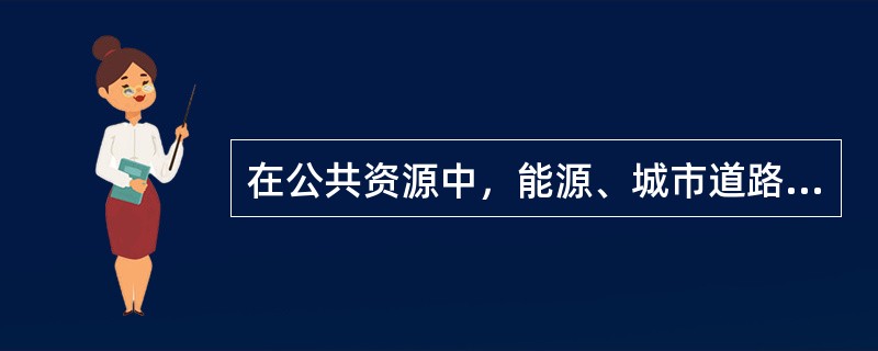 在公共资源中，能源、城市道路、路灯、桥梁、交通标志等属于( )。