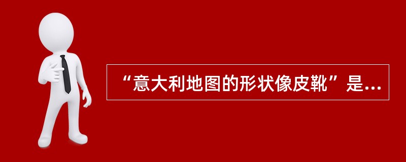 “意大利地图的形状像皮靴”是精细加工策略中的（）。