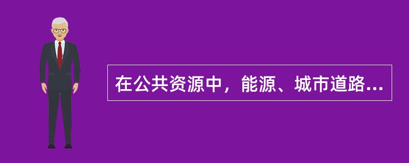 在公共资源中，能源、城市道路、路灯、桥梁、交通标志等属于（）。