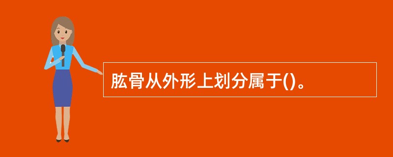 肱骨从外形上划分属于()。