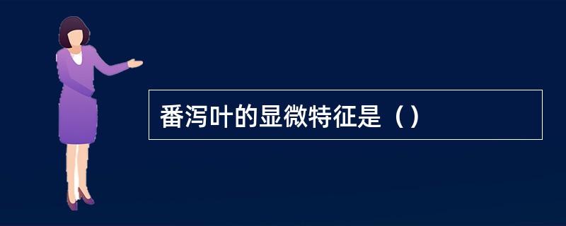番泻叶的显微特征是（）