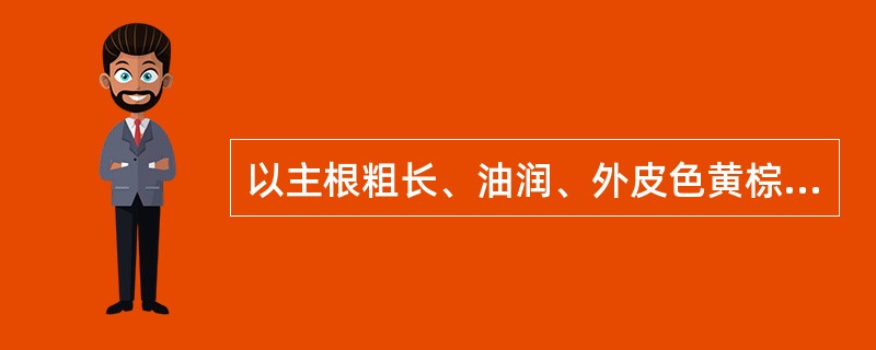 以主根粗长、油润、外皮色黄棕、断面色黄白、气味浓郁者为佳的药材是（）