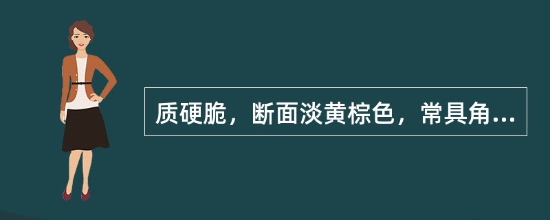 质硬脆，断面淡黄棕色，常具角质样光泽，嚼之略粘牙的是（）